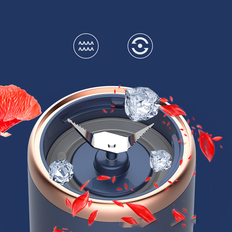 Fruit extractor